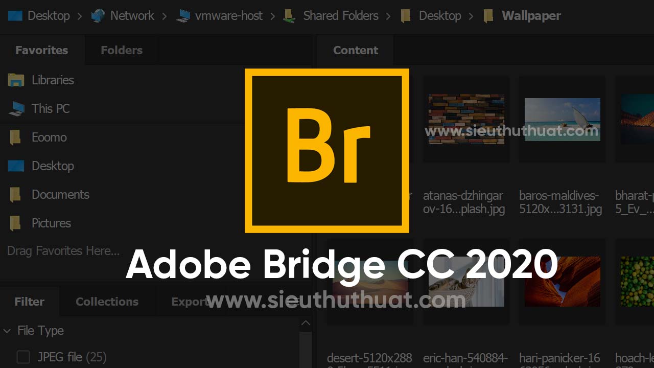 Adobe Bridge CC 2020 10.0.3 Download